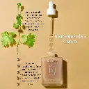 ARTES (1).webp