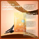 ARTES (20).webp