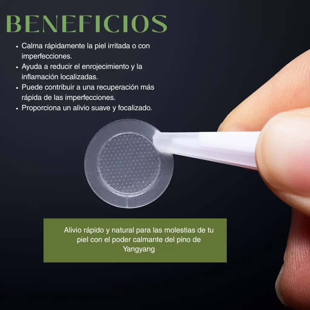 ARTES (46).webp