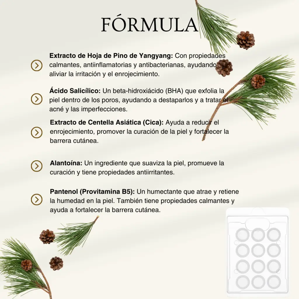 ARTES (47).webp