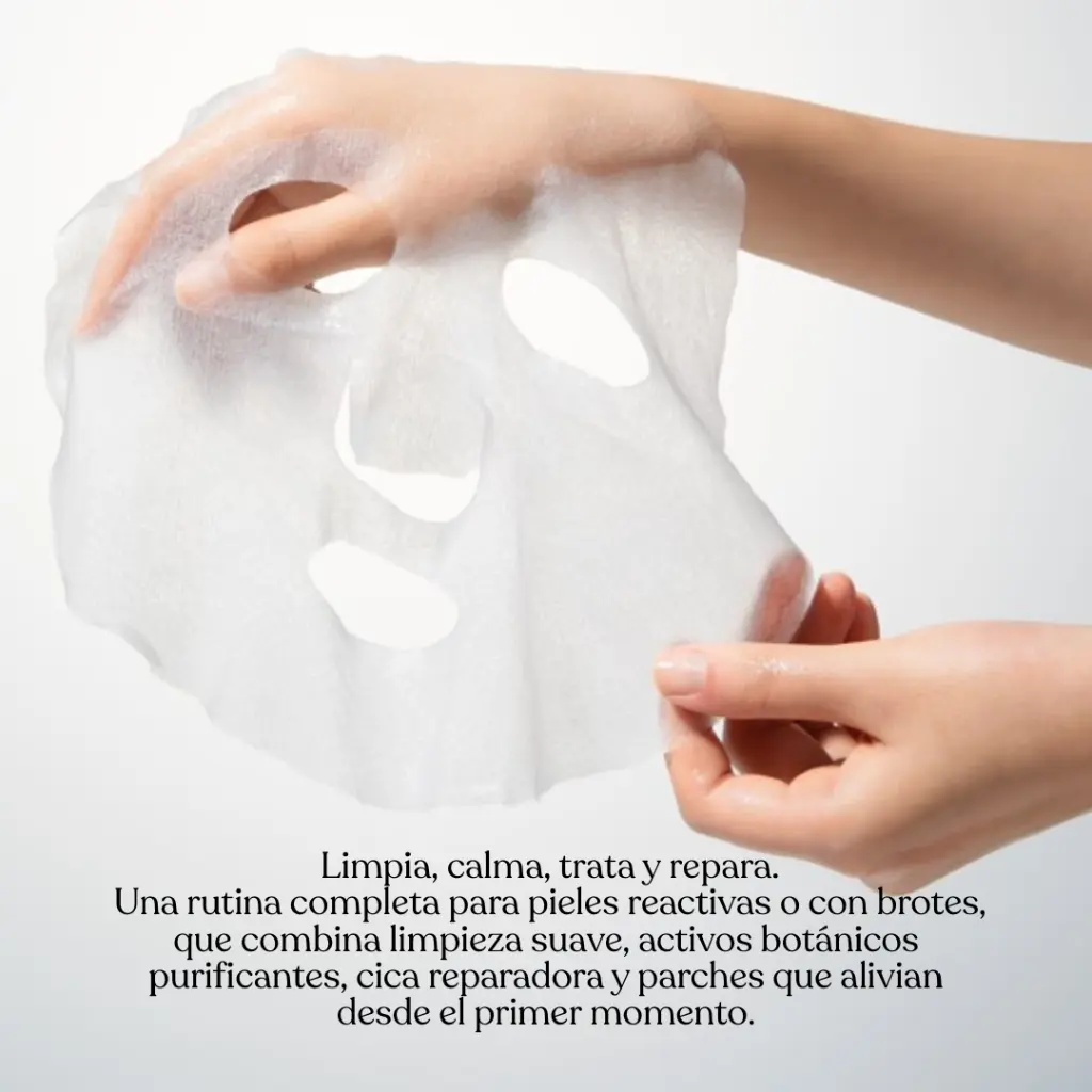 ARTES (5).webp