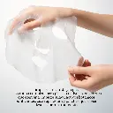 ARTES (5).webp